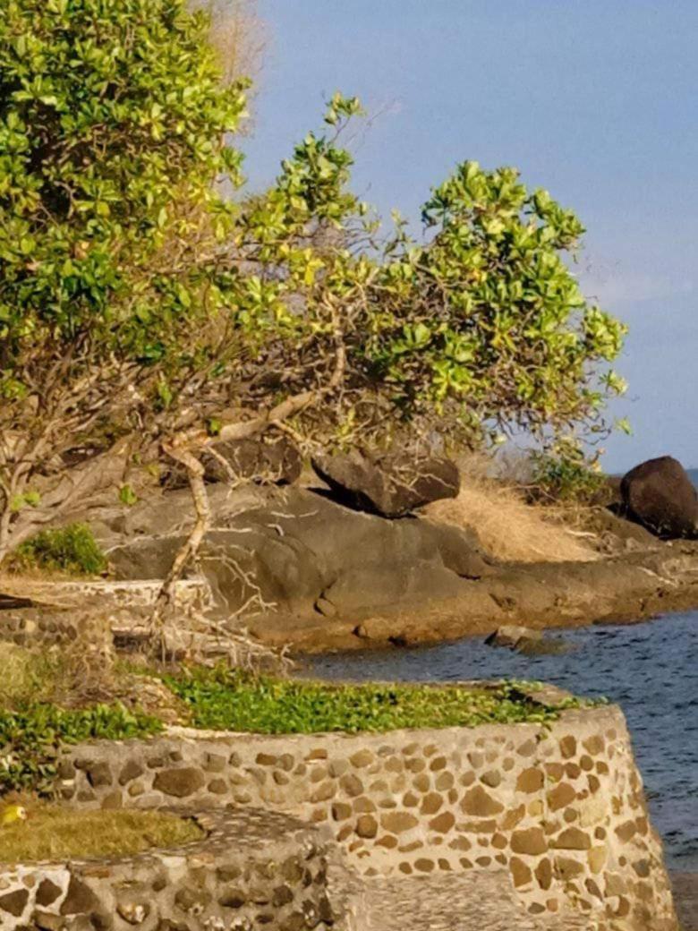 Costa Aguada Island Resort, Inampulugan Island, Sibunag, Guimaras Exteriör bild
